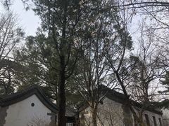 -北京鹫峰国家森林公园