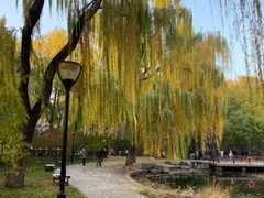 -玲珑塔公园