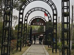 -金山农民画村-枫泾波兰倒置屋