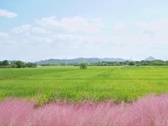 -良渚古城遗址公园