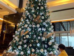 -上海龙之梦万丽酒店