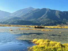 -腾冲北海湿地