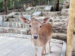 -本溪关山湖风景区