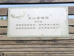 -东山香樟园