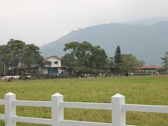 -瑞穗牧场