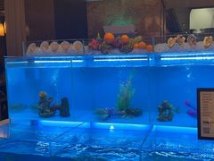 -怡咖啡·自助餐·西安香格里拉