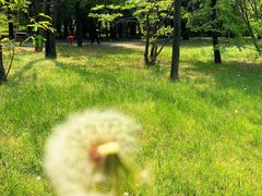 -国家植物园南园