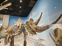 -国家自然博物馆