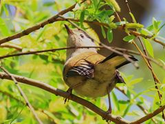 -白鹭湾湿地公园