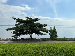 -深圳湾公园(南山区)