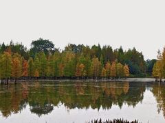 -白鹭湾湿地公园