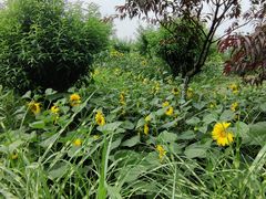 -洪湖家庭农场·团建·露营·会议