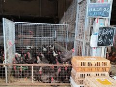 -海吉星市场