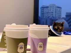 -怪兽屋·羊驼·猫咖·狗咖(俊华广场店)