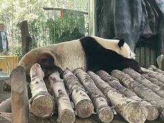-宁波野生动物园