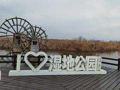 -宁波杭州湾国家湿地公园