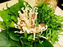 -汤城·料青山