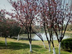 -艾溪湖湿地公园