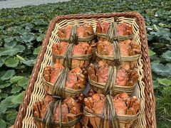 -七的湖·晚芳亭·阳澄湖农家菜·大闸蟹(莲花岛店)
