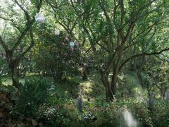 -名花谷生态庄园