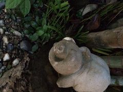 iphone_upload_pic-月满港海鲜酒家