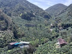 -东白山