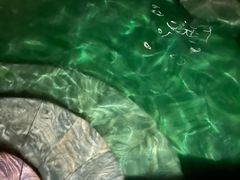 -英德宝晶宫天鹅湖茶语温泉