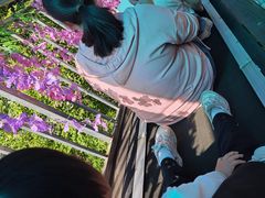 -浏阳石牛寨风景区