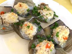 扇贝-霞海鸭仔饭店(海滨大道北店)