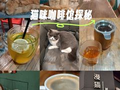 -观音桥步行街