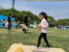 -青枫公园