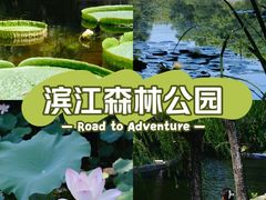 -上海滨江森林公园