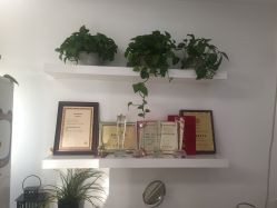 大堂-安那般那皮肤年轻化ANAPANA