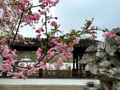 -枫桥景区