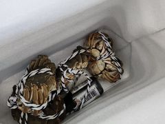 -七的湖·晚芳亭·阳澄湖农家菜·大闸蟹(莲花岛店)
