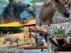 -北京野生动物园