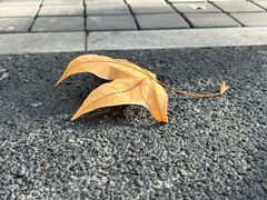 -颐和路民国时期公馆风貌区