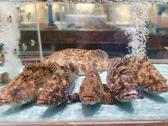 -阿伟海鲜楼·福建菜(延寿店)
