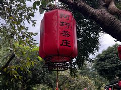 -阿巧茶庄