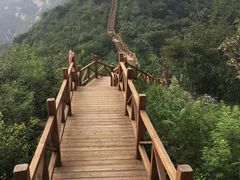 -大岭沟猕猴桃谷风景区