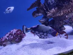 -海合安武汉极地海洋公园