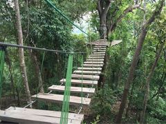 丛林飞跃-清迈丛林飞跃 JungleFlight