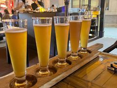德国兰德博格尔森啤酒-LENBACH兰巴赫西餐啤酒坊(大连东港店)