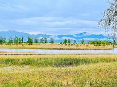 -野鸭湖国家湿地公园