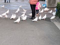 -国色天乡三期陆地乐园