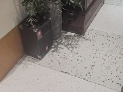 -黄记煌三汁焖锅(金凤万达广场店)