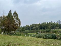 -洋湖国家湿地公园