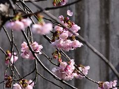 -静安雕塑公园