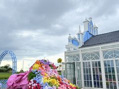 -杭州湾海上花田景区