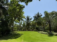 -亚龙湾喜来登·美景台大堂吧